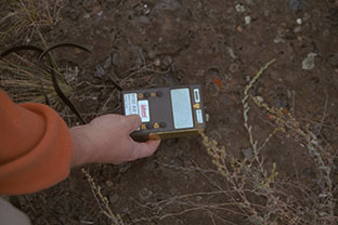 Radioecology
